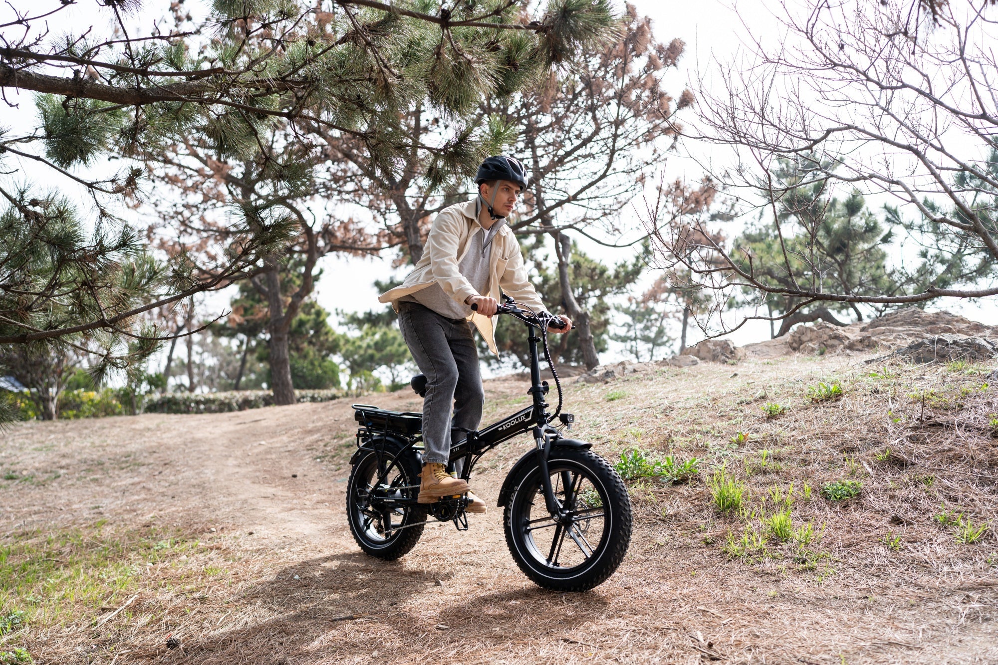 Which Electric Cargo Bike Should You Buy? Top Recommendations for Every Budget and Need