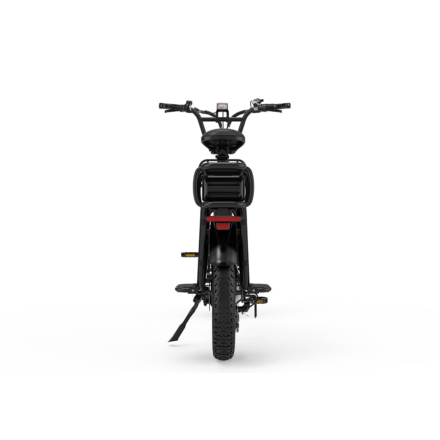 KOOLUX X8 750W 48V 65AH E-Bike Hydraulic Brakes Cargo Electric Bike