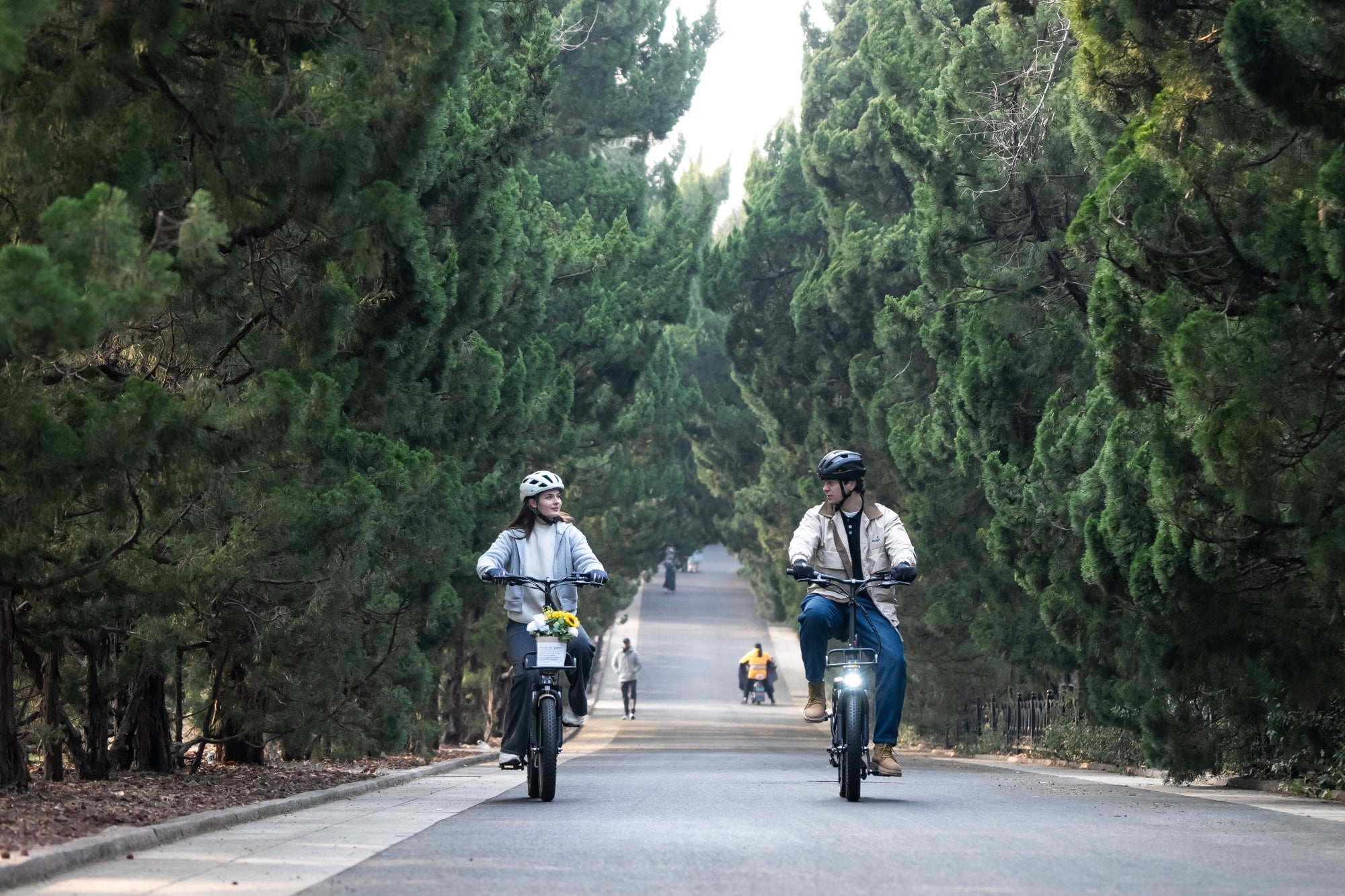 Why Most Electric Bikes Do Not Require a License