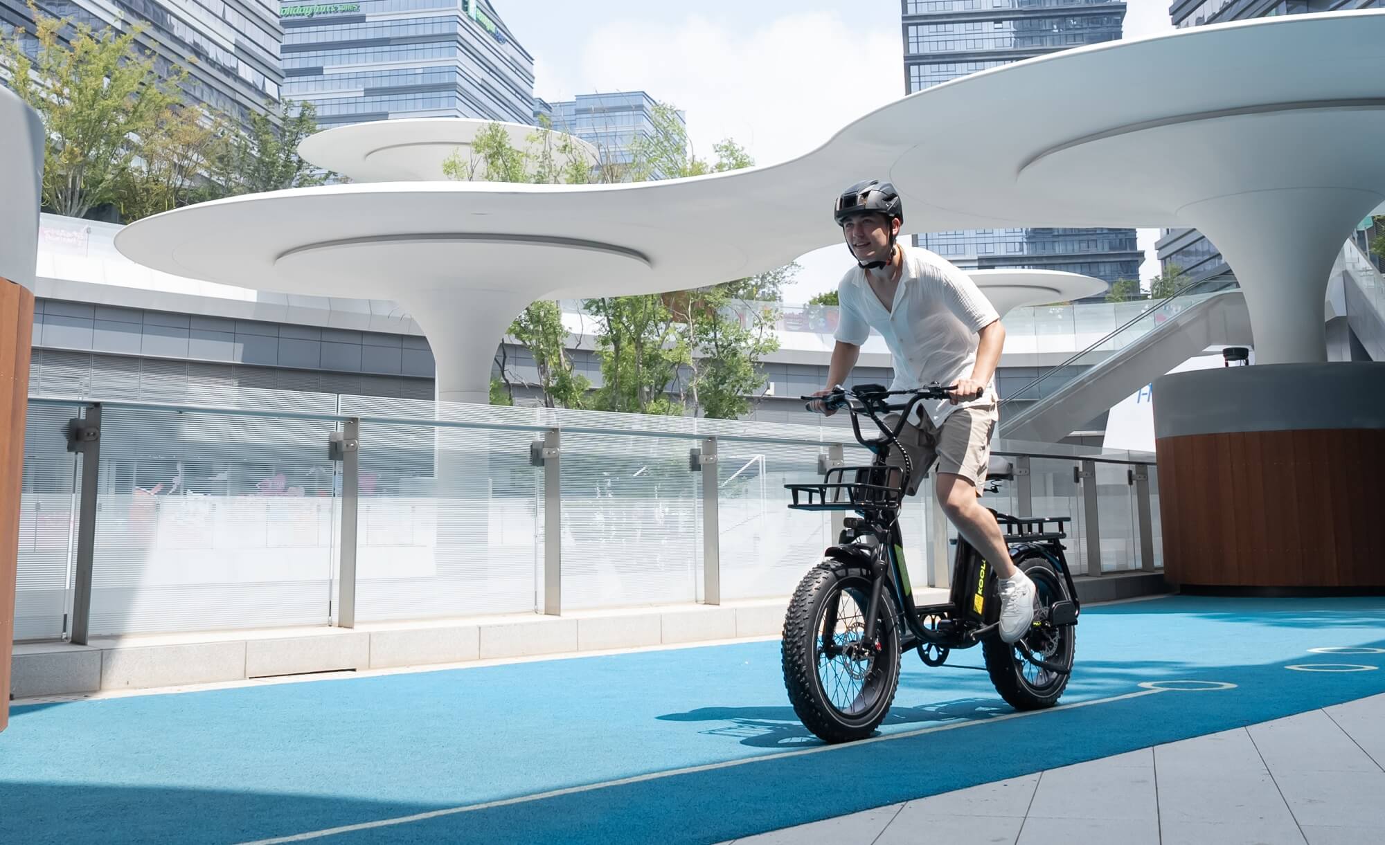 What Is an Electric Cargo Bike? (Complete Guide for Beginners)
