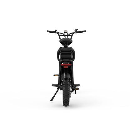 KOOLUX X8 48V 65AH E-Bike Hydraulic Brakes Cargo Electric Bike HOT