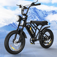 KL-BK29 Fast Delivery Powerful 250W 20 Inch dirt Ebike Fat Tre Off Road Electric Bike E-bike-Wholesale