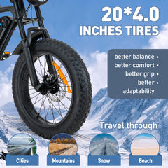 KL-BK29 Fast Delivery Powerful 250W 20 Inch dirt Ebike Fat Tre Off Road Electric Bike E-bike-Wholesale