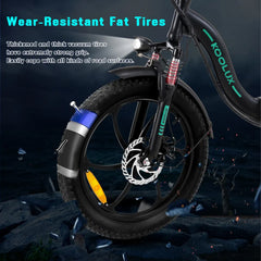 BK6S 20''*3.0 Tire