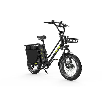 KOOLUX X8 750W 48V 65AH E-Bike Hydraulic Brakes Cargo Electric Bike