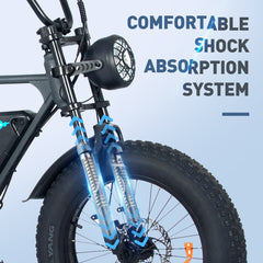 KL-BK29 Fast Delivery Powerful 250W 20 Inch dirt Ebike Fat Tre Off Road Electric Bike E-bike-Wholesale