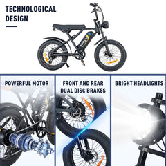 KL-BK29 Fast Delivery Powerful 250W 20 Inch dirt Ebike Fat Tre Off Road Electric Bike E-bike-Wholesale