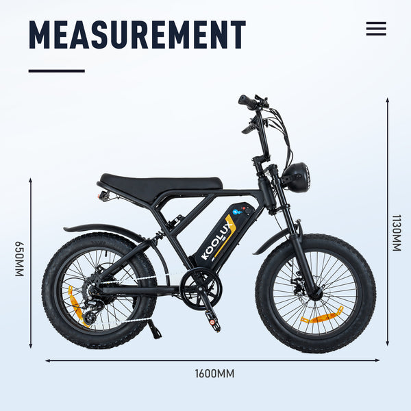 KL-BK29 Fast Delivery Powerful 250W 20 Inch dirt Ebike Fat Tre Off Road Electric Bike E-bike-Wholesale