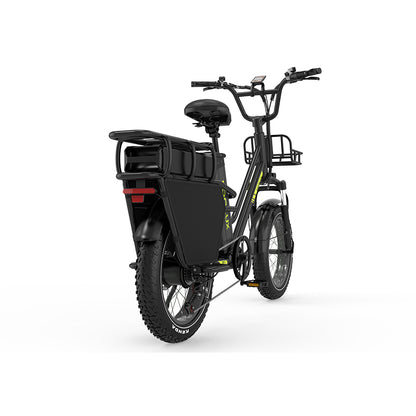 KOOLUX X8 750W 48V 65AH E-Bike Hydraulic Brakes Cargo Electric Bike