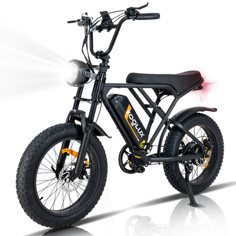 KL-BK29 Fast Delivery Powerful 250W 20 Inch dirt Ebike Fat Tre Off Road Electric Bike E-bike-Wholesale